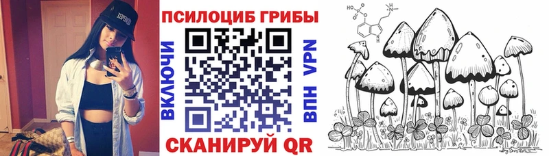 цена наркотик  Шумиха  Галлюциногенные грибы Cubensis 
